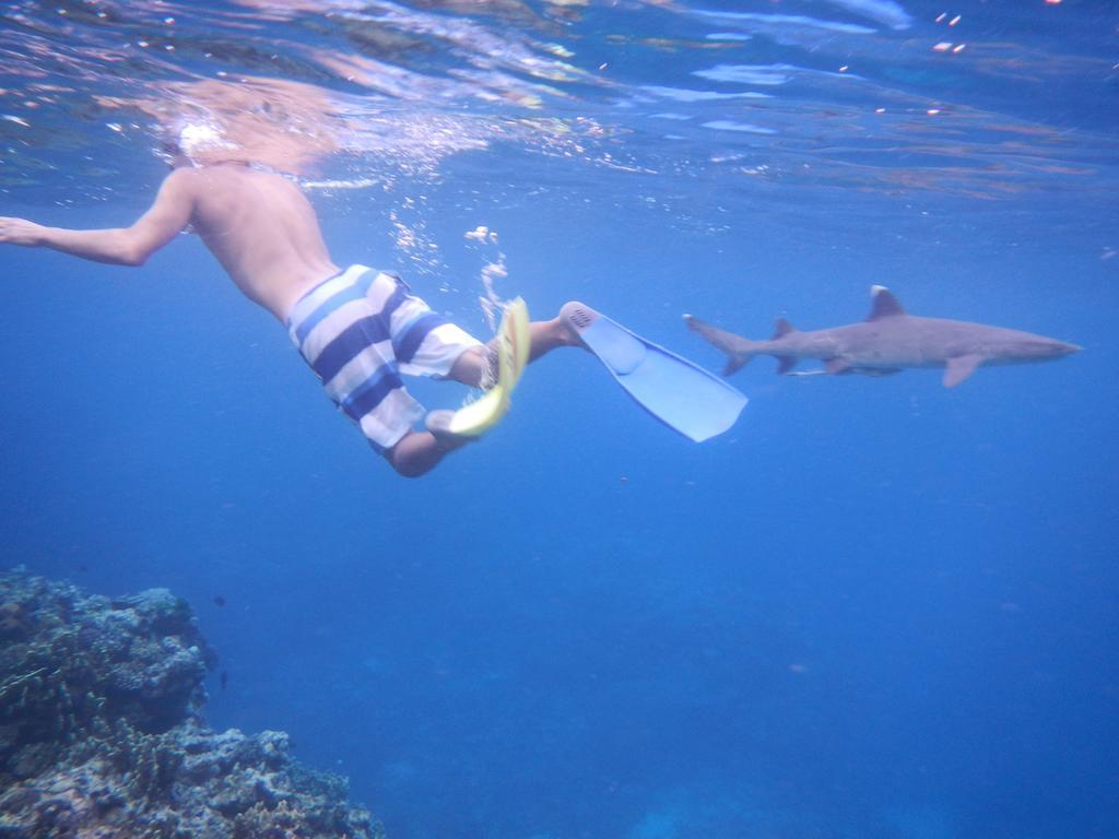 Wayasewa Island Naqalia Lodge المظهر الخارجي الصورة
