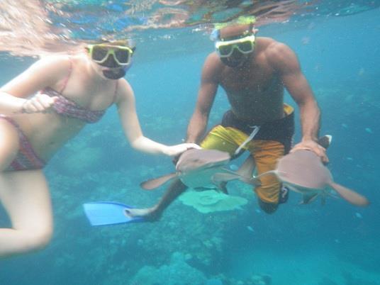 Wayasewa Island Naqalia Lodge المظهر الخارجي الصورة