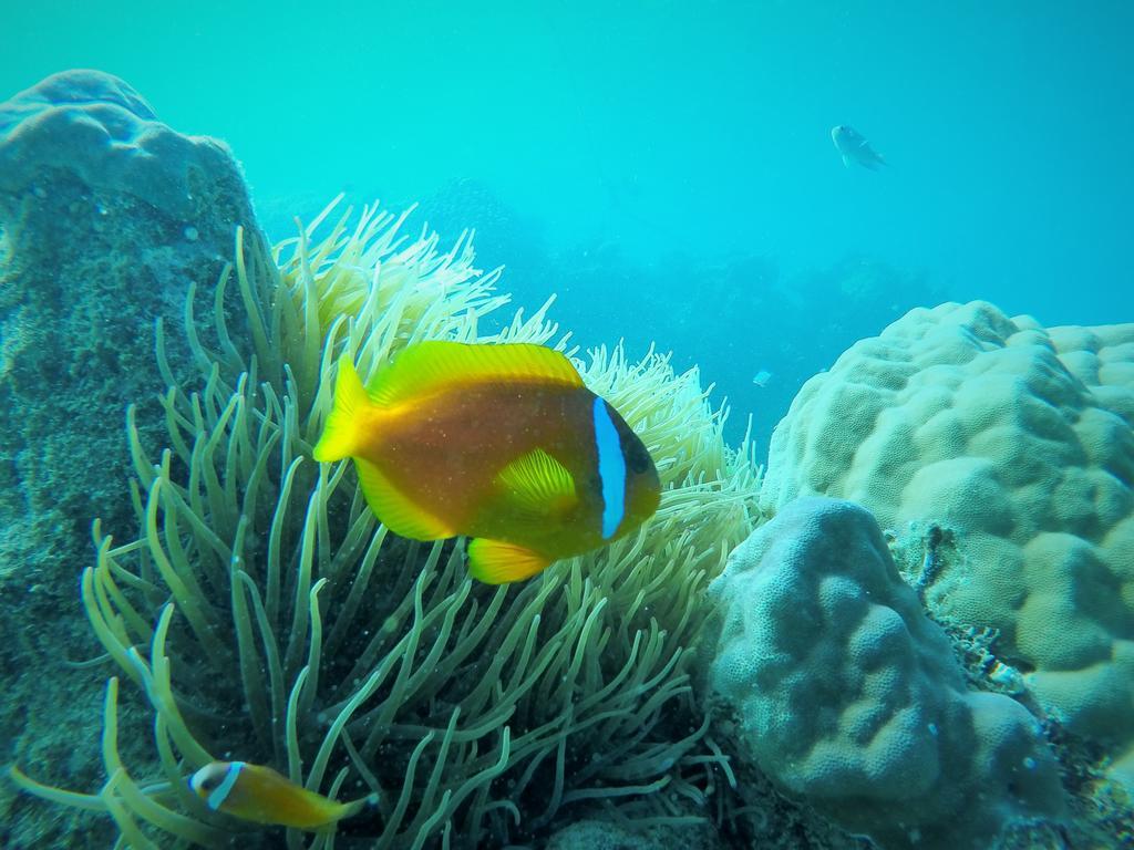 Wayasewa Island Naqalia Lodge المظهر الخارجي الصورة